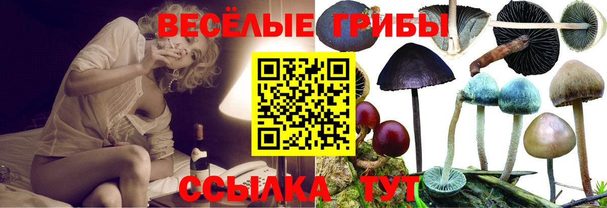 как найти наркотики  Псилоцибиновые грибы MAGIC MUSHROOMS  Вход с VPN  Галлюциногенные грибы мухоморы  Елец 