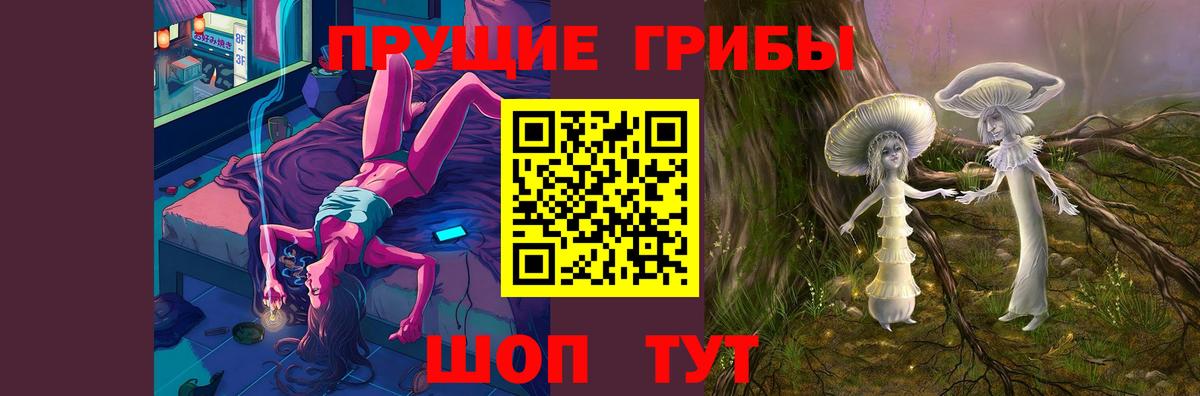 Псилоцибиновые грибы Cubensis Елец